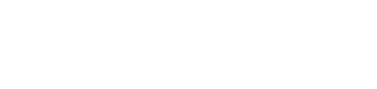 案件類型